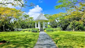 Singapore Botanic Gardens